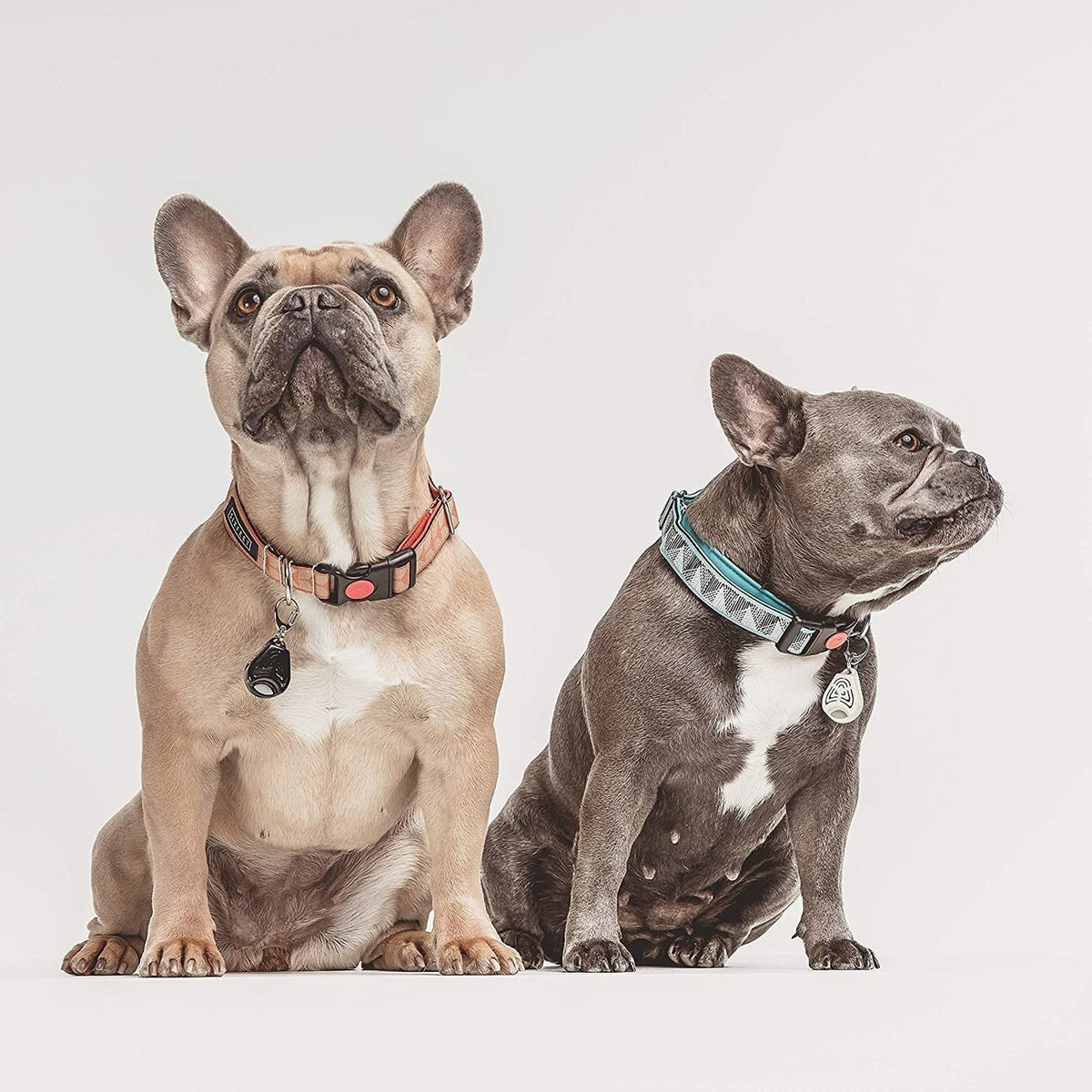 TickLess Pet Zecken und Flohschutz