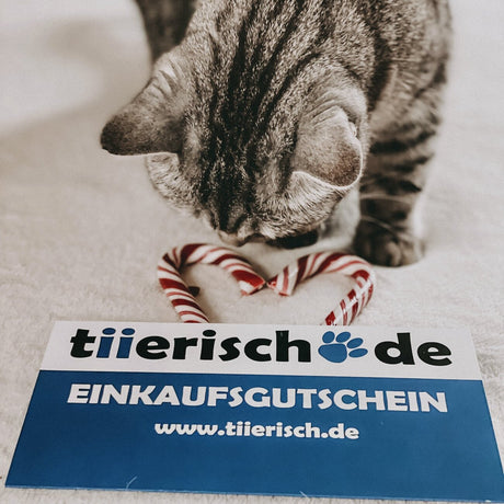 tiierisch.de Einkaufs Gutschein zum Verschenken