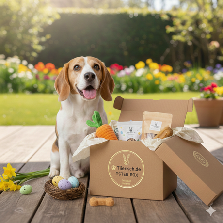 tiierisch.de Oster-Überraschungsbox für Hunde – Premium-Ostergeschenk – Osterbox
