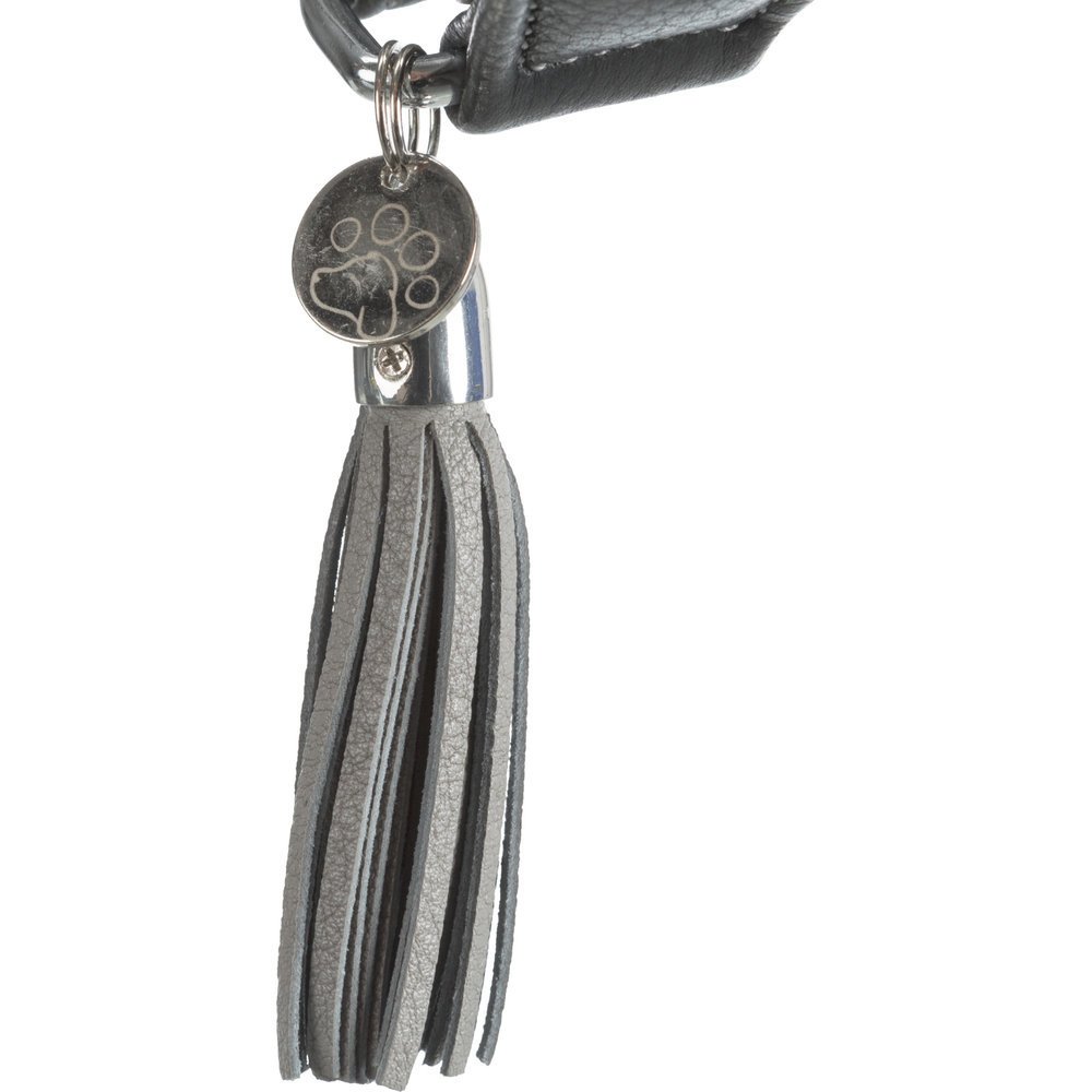 Active Comfort Windhundehalsband