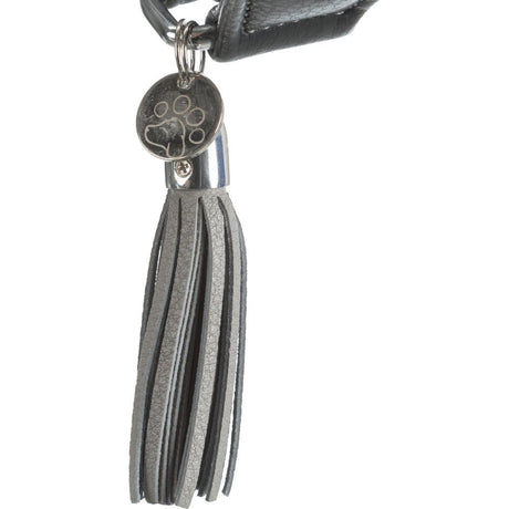 Active Comfort Windhundehalsband