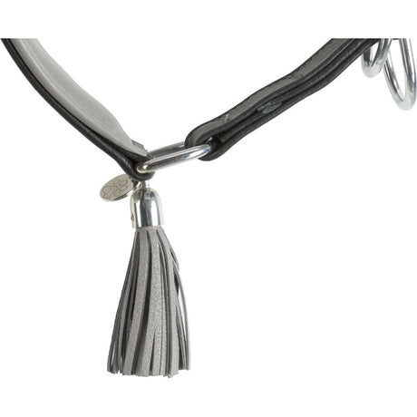 Active Comfort Windhundehalsband