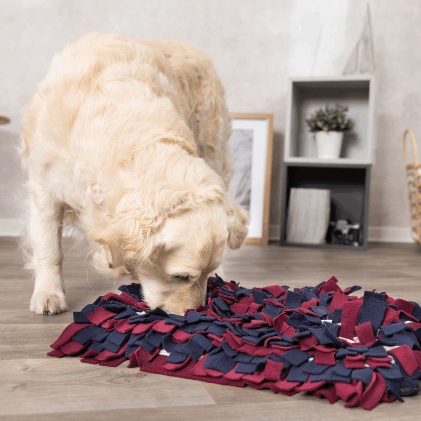 Dog Activity Schnüffelteppich Hundestrategiespiel