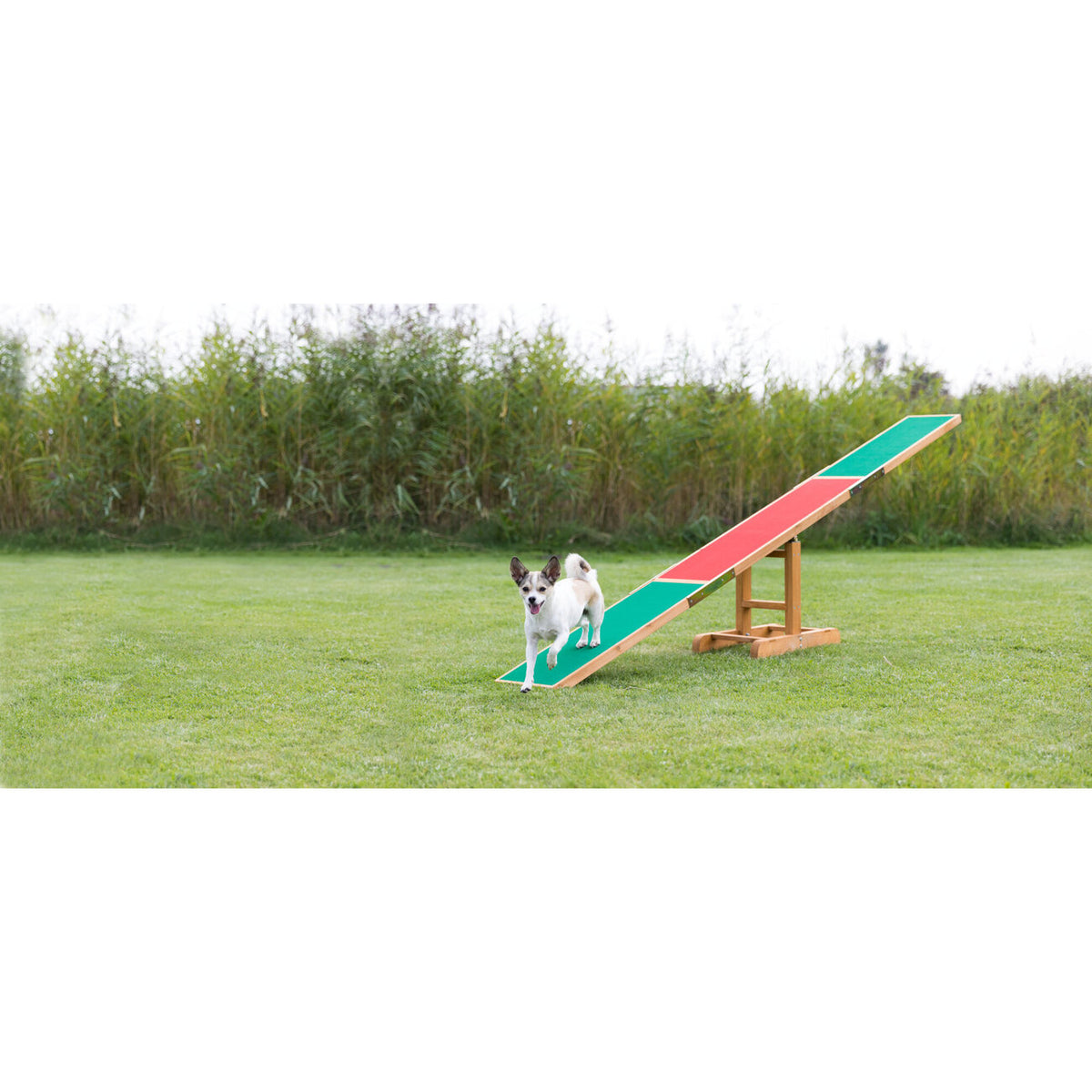 Trixie Agility Hunde Wippe