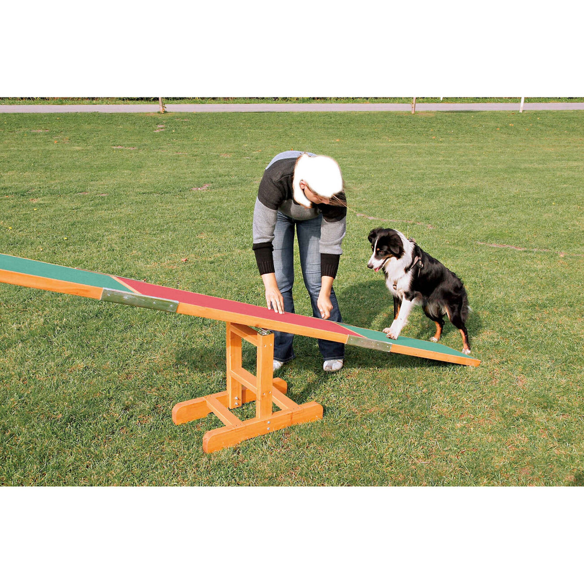 Trixie Agility Hunde Wippe