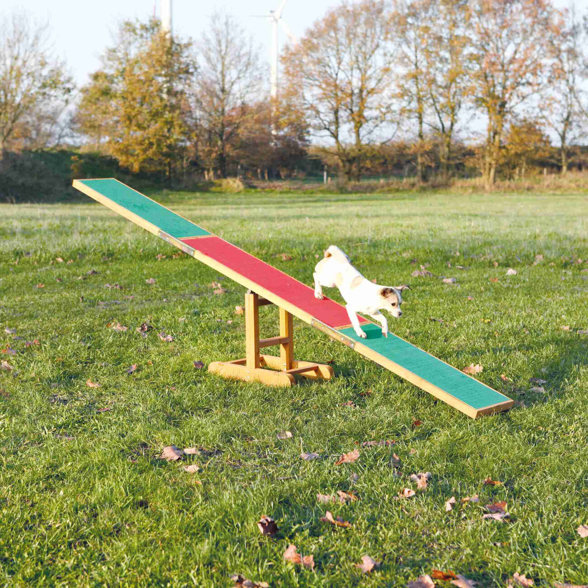 Trixie Agility Hunde Wippe