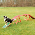 Agility Steg – 456 × 64 × 30 cm