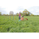 Agility Steg – 456 × 64 × 30 cm