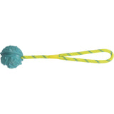 Aqua Toy Hundeball am Seil