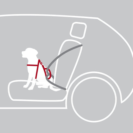 Auto Hundegeschirr Dog Protect