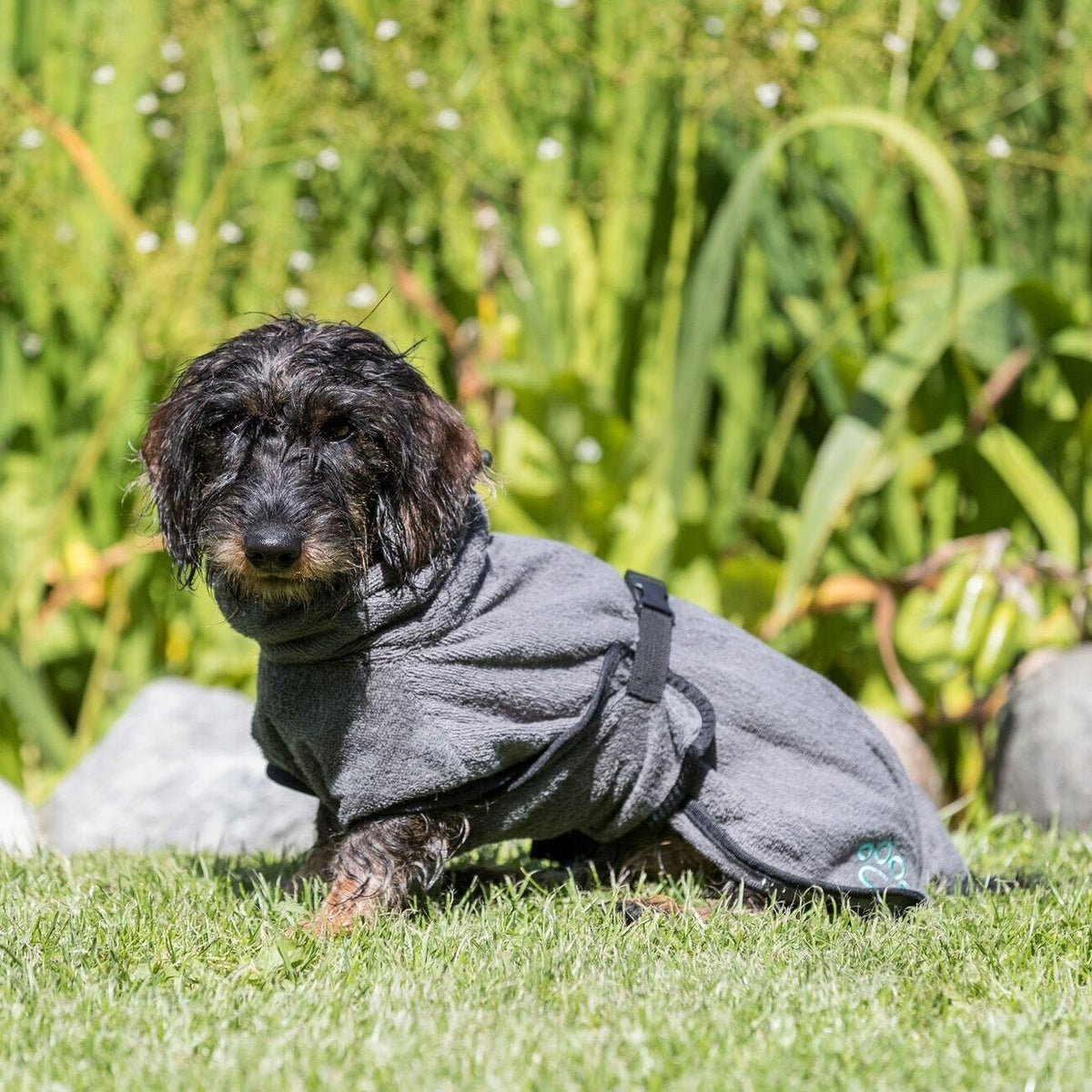 Bademantel für Hunde