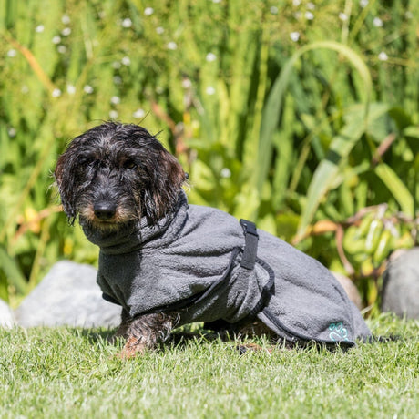 Bademantel für Hunde