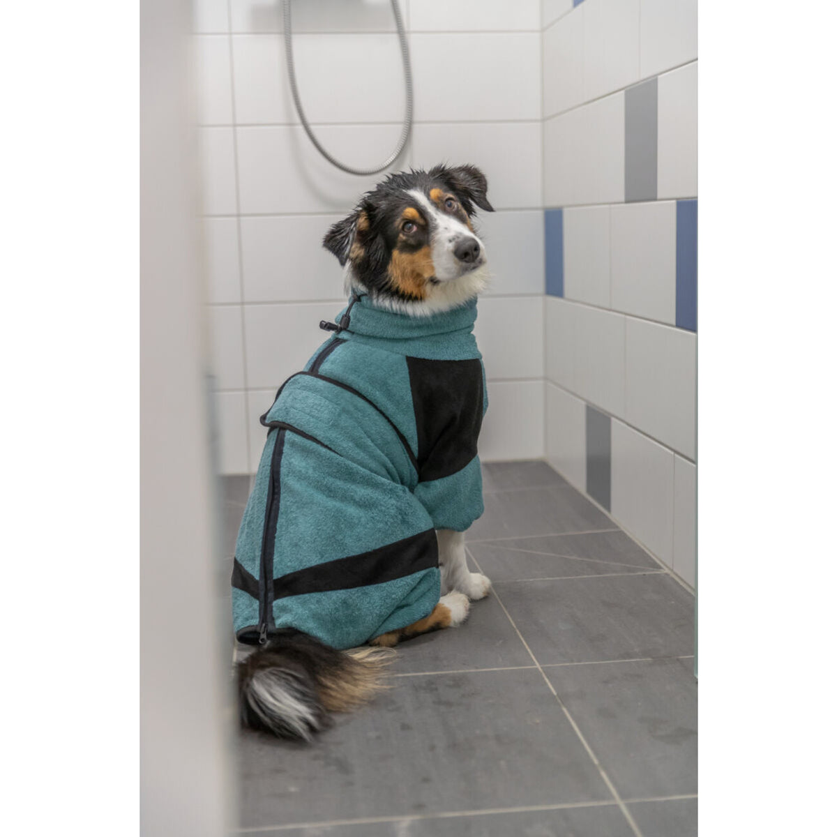Bademantel und Haus-Overall für Hunde