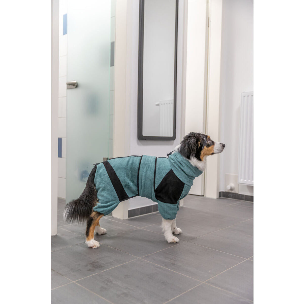 Bademantel und Haus-Overall für Hunde