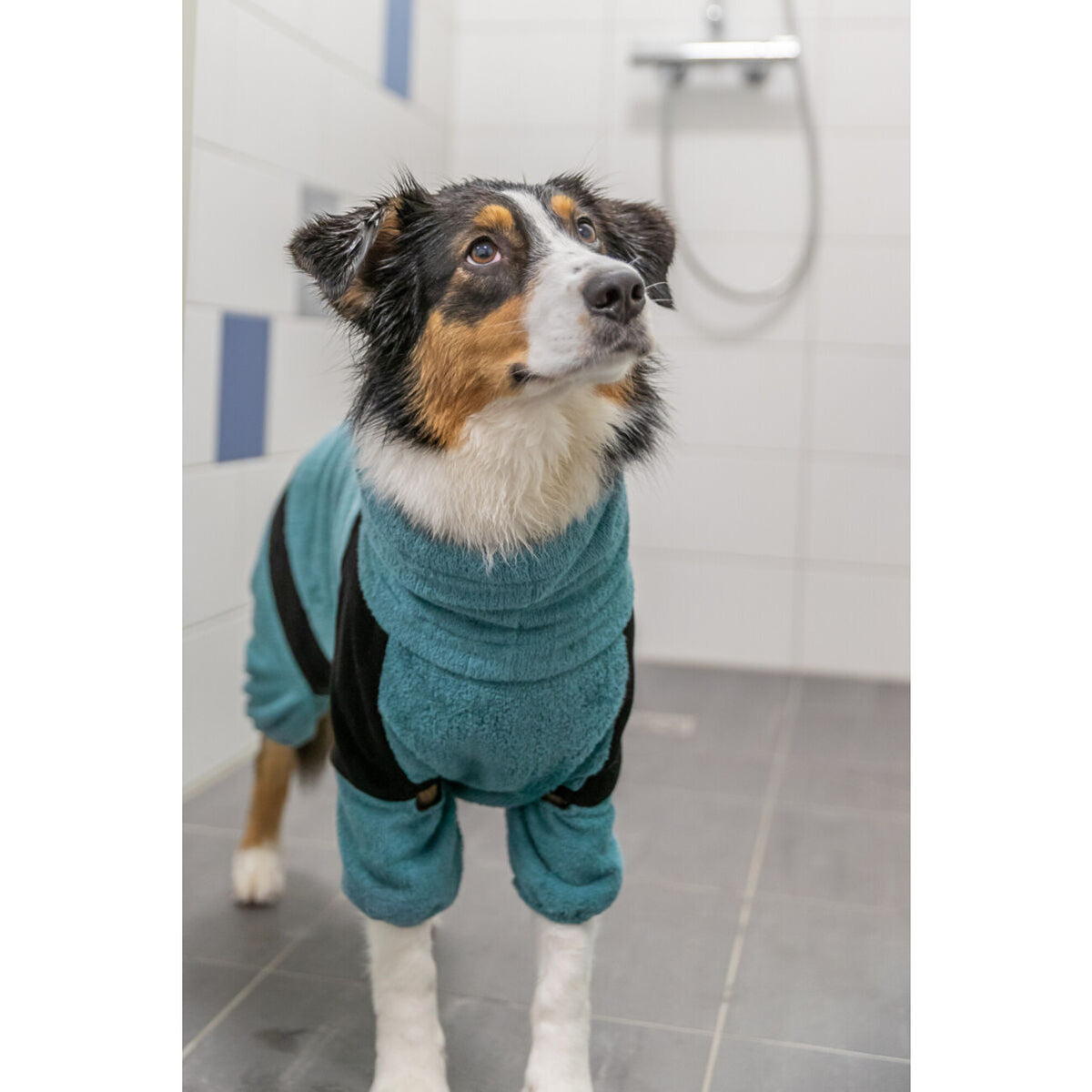 Bademantel und Haus-Overall für Hunde