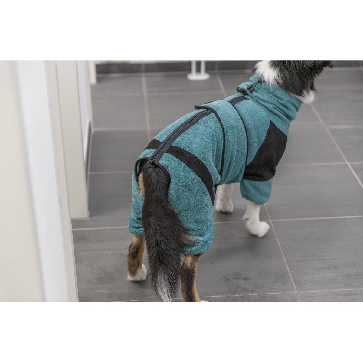 Bademantel und Haus-Overall für Hunde