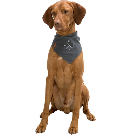 Be Nordic Hunde Halstuch