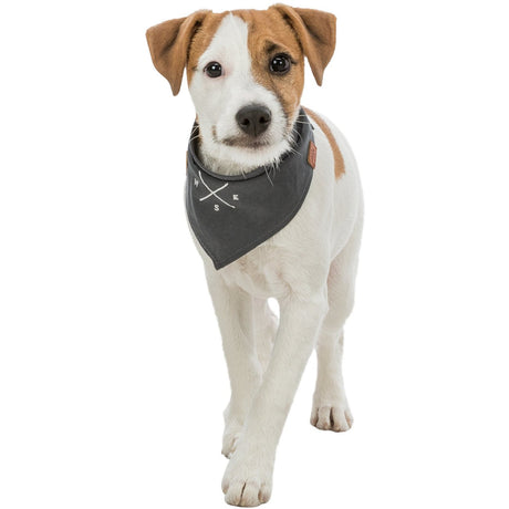 Be Nordic Hunde Halstuch