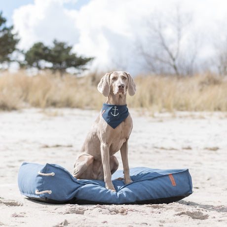 Be Nordic Hunde Halstuch