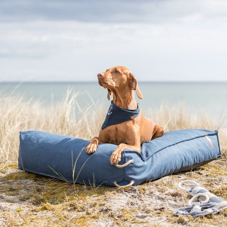 Be Nordic Hunde Halstuch