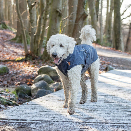 BE NORDIC Hunde Regenmantel Husum wasserdicht