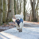 BE NORDIC Hunde Regenmantel Husum wasserdicht