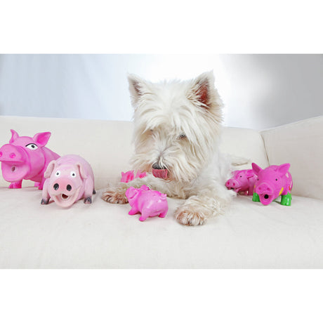 Borstenschwein für Hunde Original Tierstimme