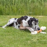 Denta Fun Chicken Chewing Bone