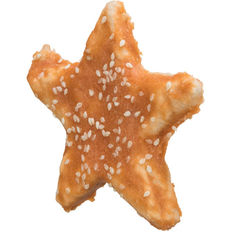 Denta Fun Chicken Star