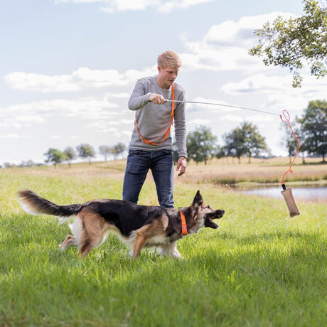 Dog Activity Reizangel für Hunde – Dummy 19 cm, gesamt 2,30 m
