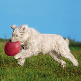 Trixie Dog Disc Hundefrisbee aus Gummi – ø 15 cm