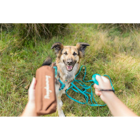 Easy Life Schleppleine mit Handschlaufe