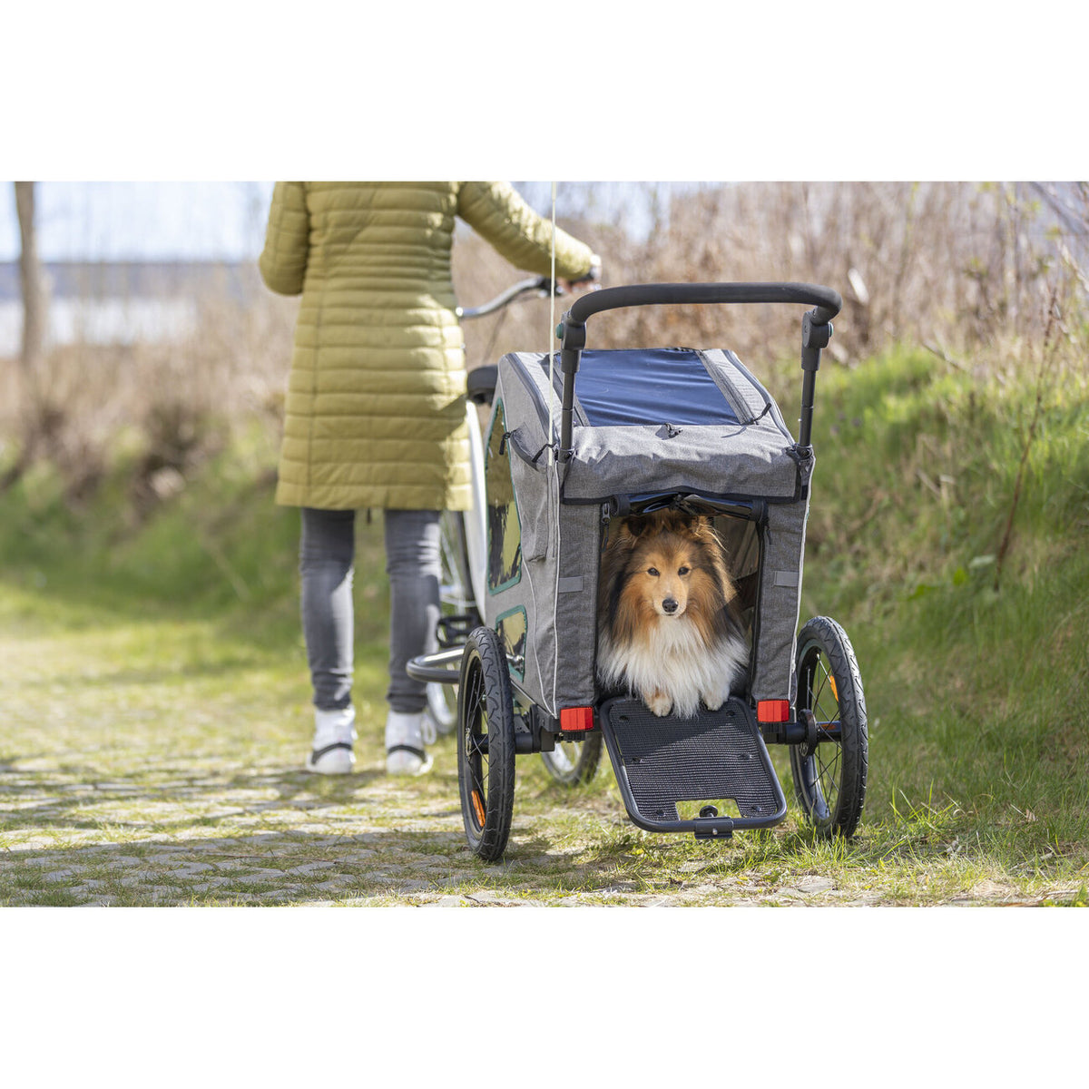 Fahrradanhänger für Hunde gefedert