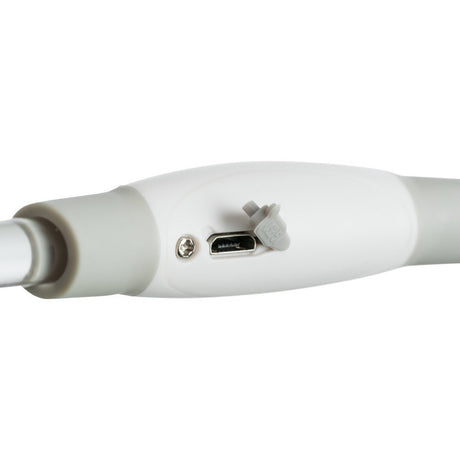 Flash Leuchtring für Hunde USB