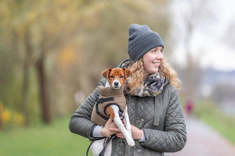 Geschirr-Wintermantel für Hunde Pirou