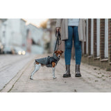 Geschirr-Wintermantel für Hunde Pontis Reflect