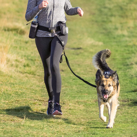 Hundeleine mit Bauchgurt, Hunde Joggingleine
