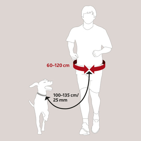 Hundeleine mit Bauchgurt, Hunde Joggingleine