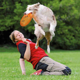 Hunde Frisbee von Karin Actun – bissfest, ø 19 cm, zufällige Farbe
