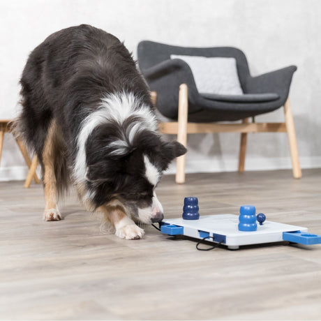 Dog Activity Strategiespiel Move2Win für Hunde