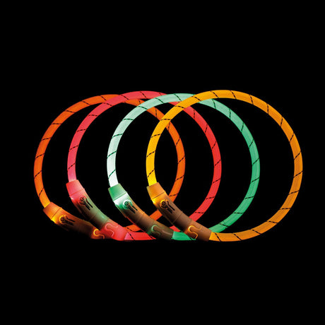 Trixie Hunde Leuchtring Nylon USB