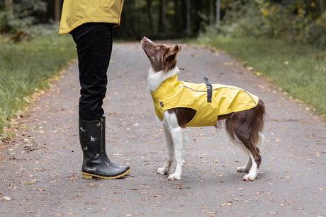 Hunde Regenmantel Vimy mit Bauchschutz