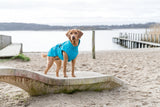 Hunde Regenmantel Vimy mit Bauchschutz