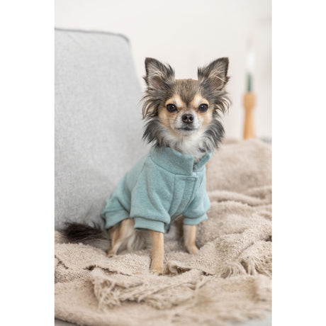Hunde Sweatshirt Littleton