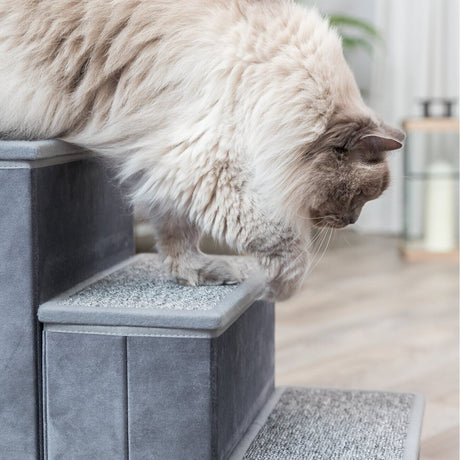 Möbeltreppe für Hund und Katze