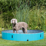 Trixie Hundepool