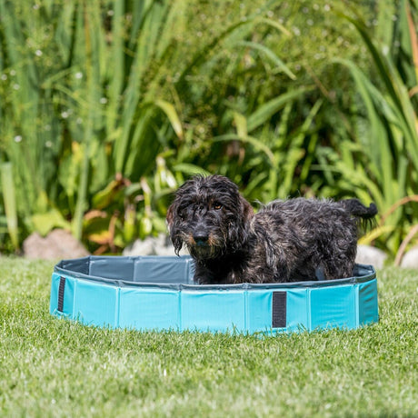 Trixie Hundepool