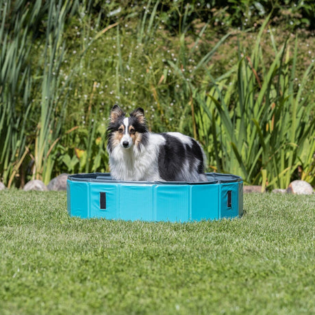 Trixie Hundepool