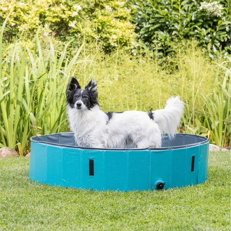 Trixie Hundepool