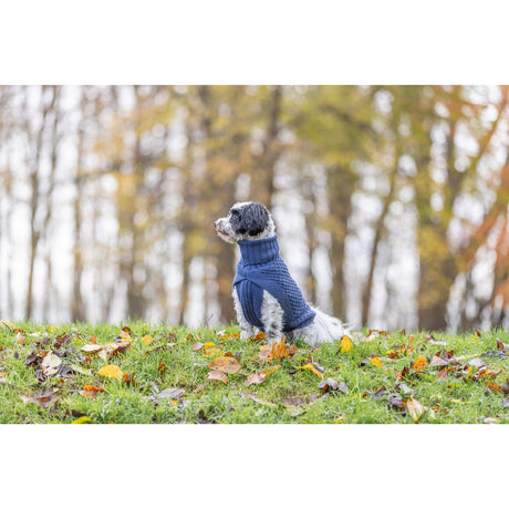 Hundepullover Norwood